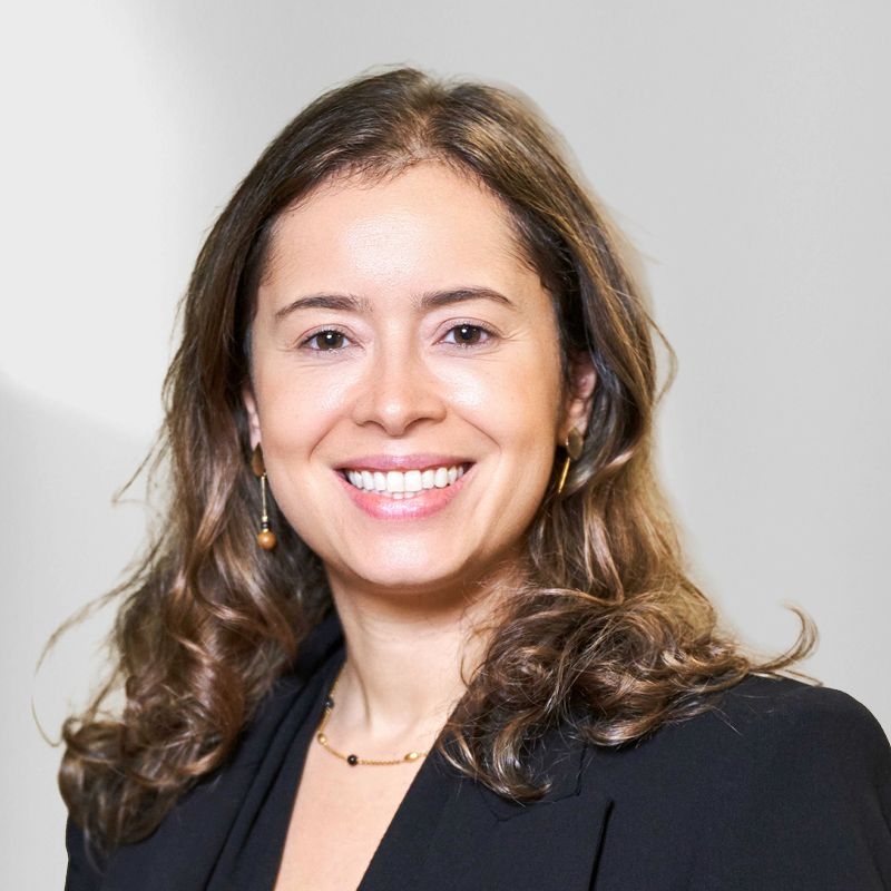 Alternative Text missing